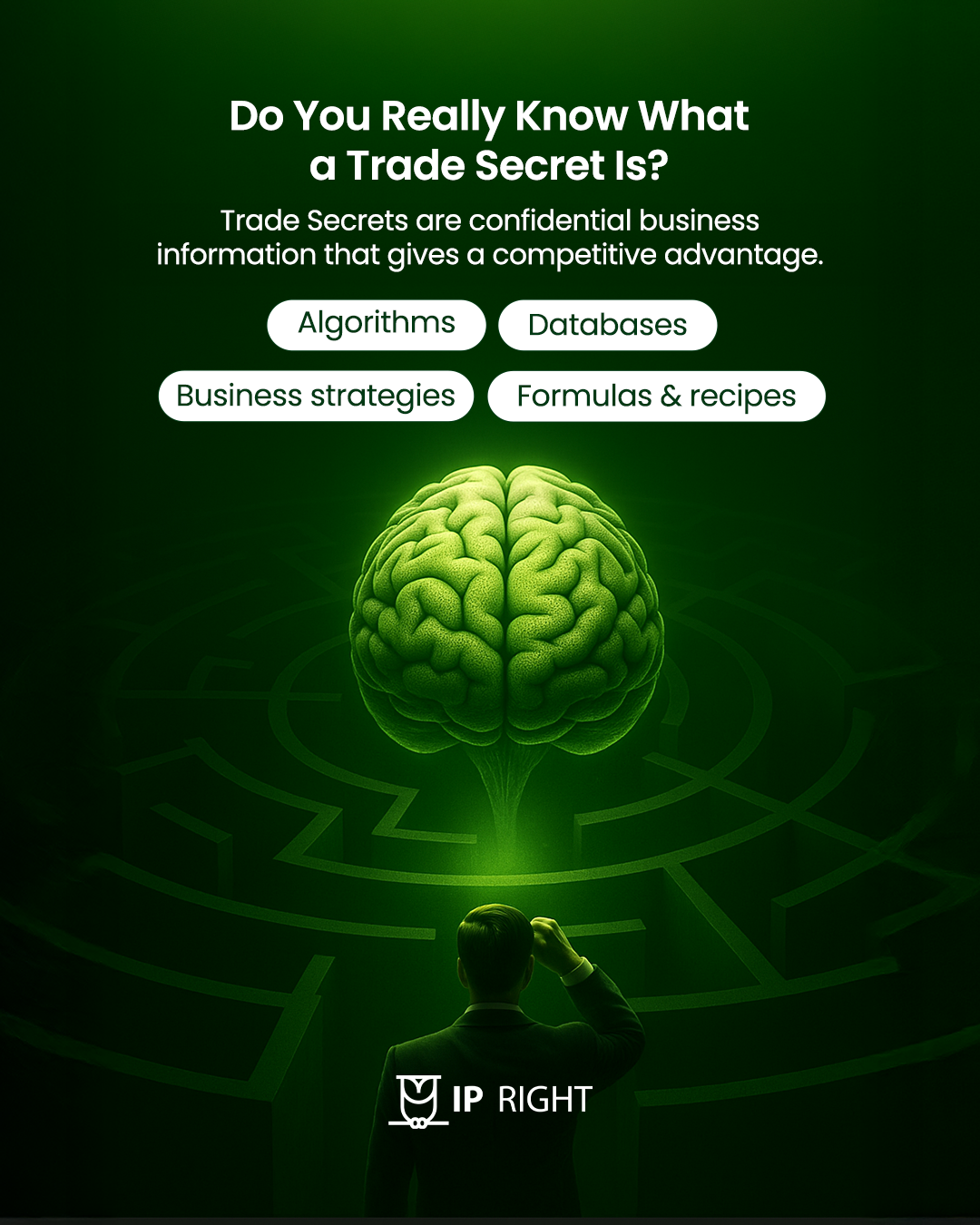 Noviembre 12 ENG | Trusted IP Partner in Central America